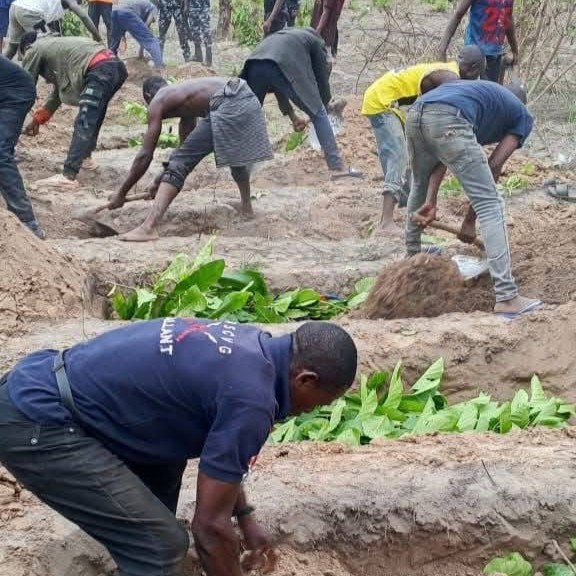 Men digging and preparing several graves