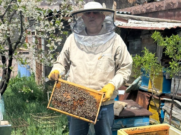 A man in a beekeeping suit holding a frame with bees on it